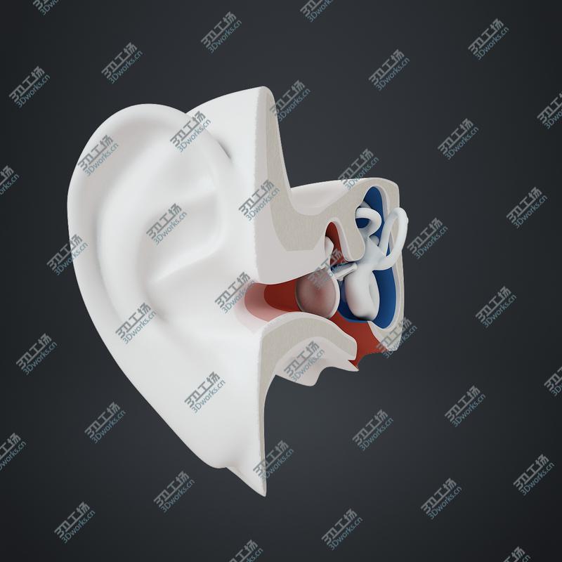 images/goods_img/202105073/Inner Ear/3.jpg